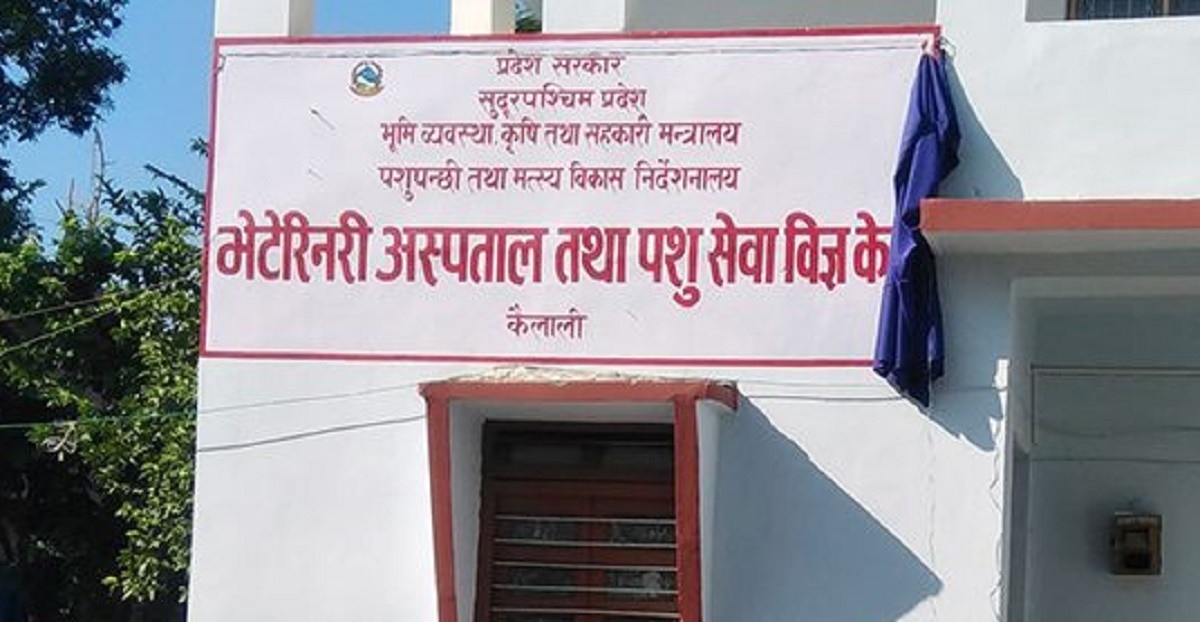 नमूना भेटेरिनरी अस्पताल निर्माण हुँदै