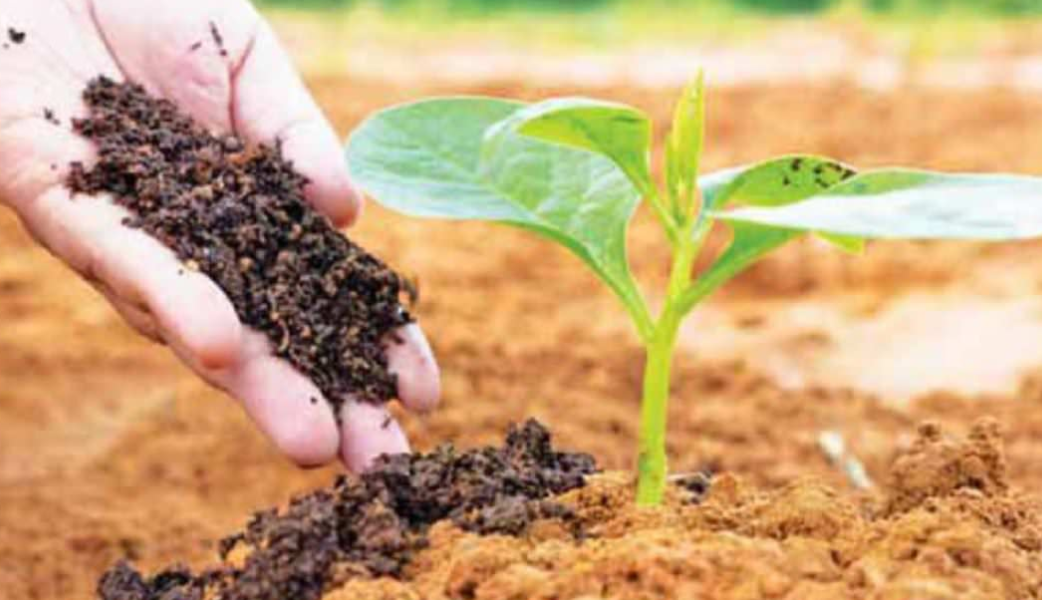 अर्गानिक उत्पादनलाई एकीकृत गर्दै अन्नपात एग्रो