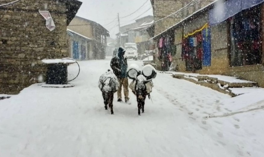 भारी वर्षा र हिमपातले कर्णालीको दसैँ कष्ट !