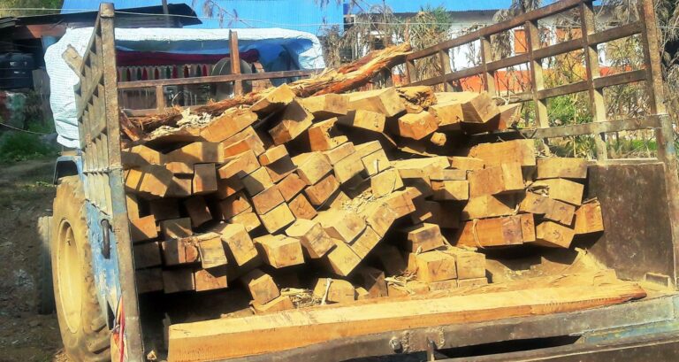 विपन्नलाई घर निर्माण गर्न निःशुल्क काठ