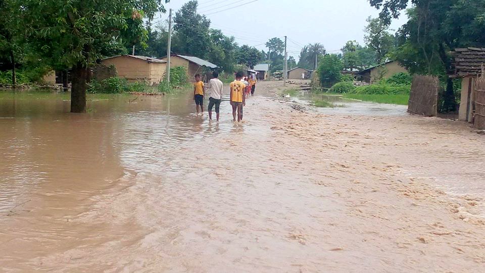बाढीका कारण ९६० घर डुबानमा