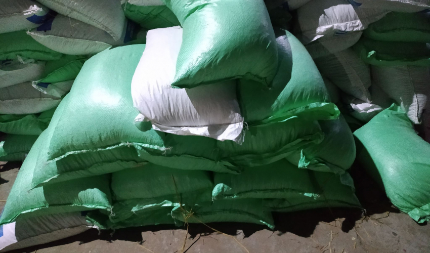 ३१ हजारकेजी हरियो केराउ बरामद