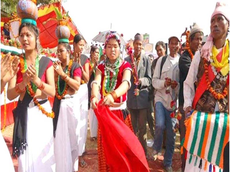 थारू र मगर बस्तीमा माघे सङ्क्रान्तिको तयारी