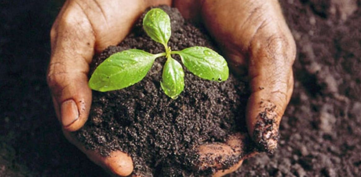 मुड्केचुलामा उत्पादन बढाउन माटोको जाँच