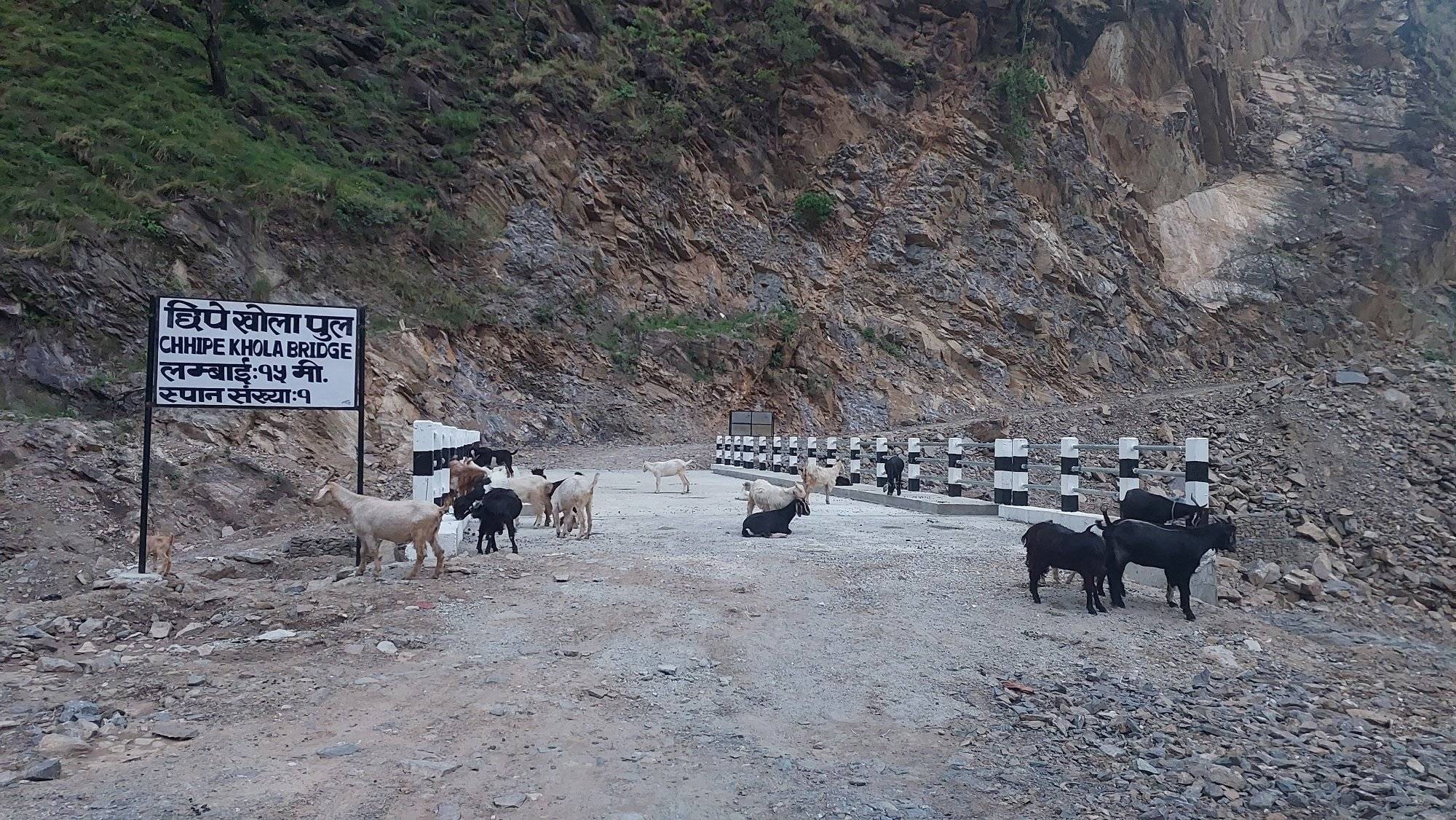 n3-1749375210.jpg