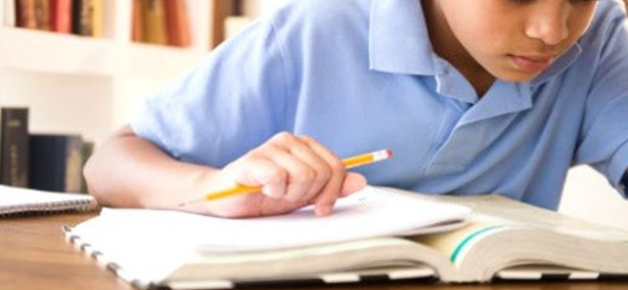 पाल टाँगेर पढाइ 