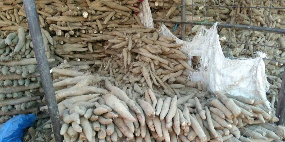 तरुलको व्यापार फस्टायो