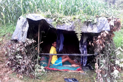 बँदेलबाट मकै बचाउन रातभरि जाग्राम 