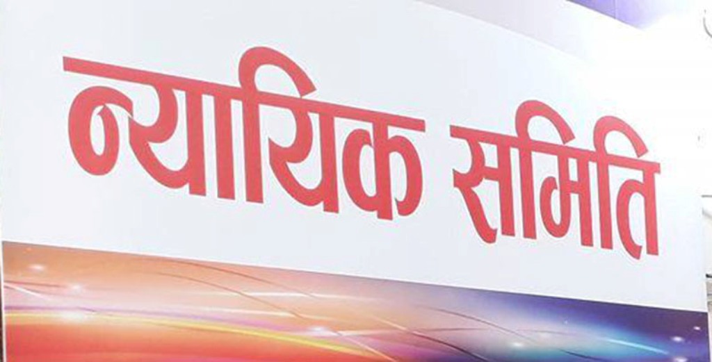 न्यायिक समितिमा पीडितका मुद्दा